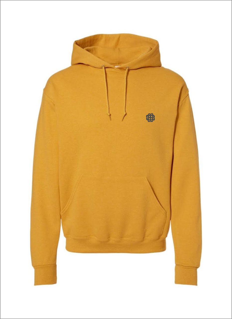 Light Weight Logo Hoodies